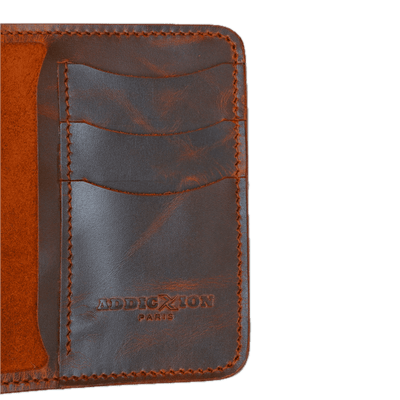 Passport Wallet: Brown